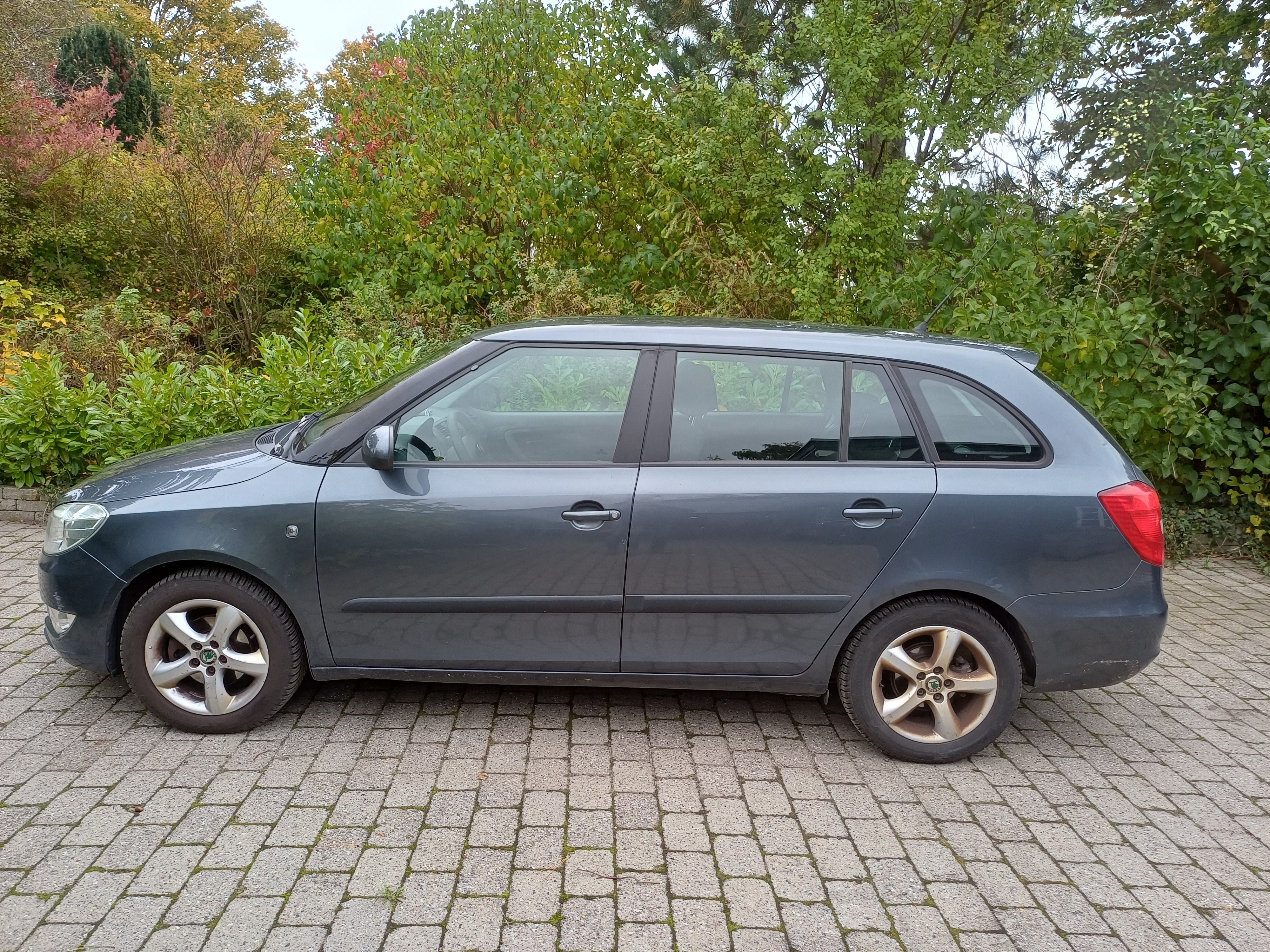 undefined Skoda Fabia fra 2010