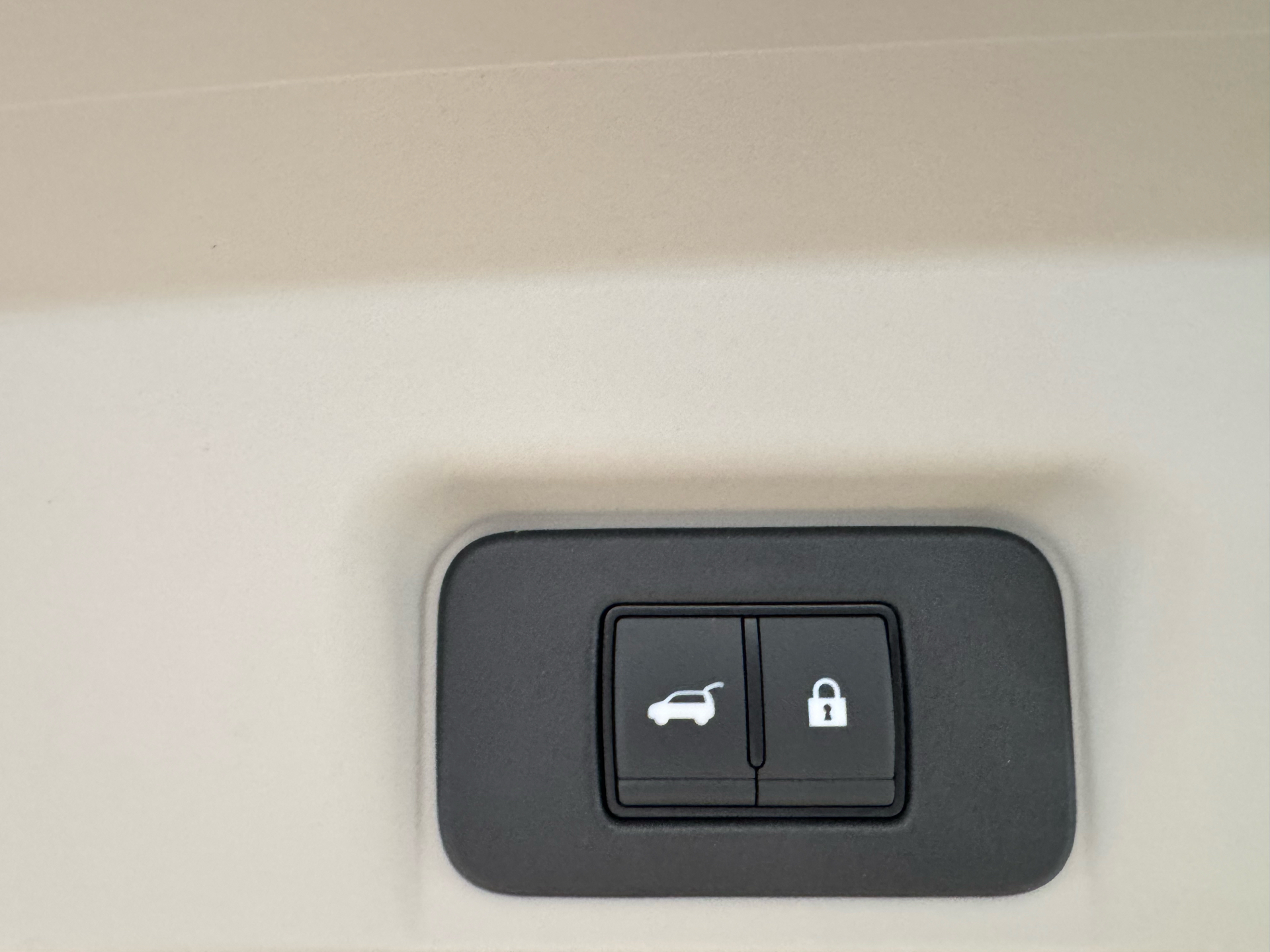 Sort Nissan Ariya fra 2024