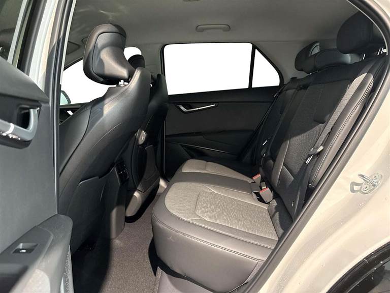 Kia Niro 64 EV Premium