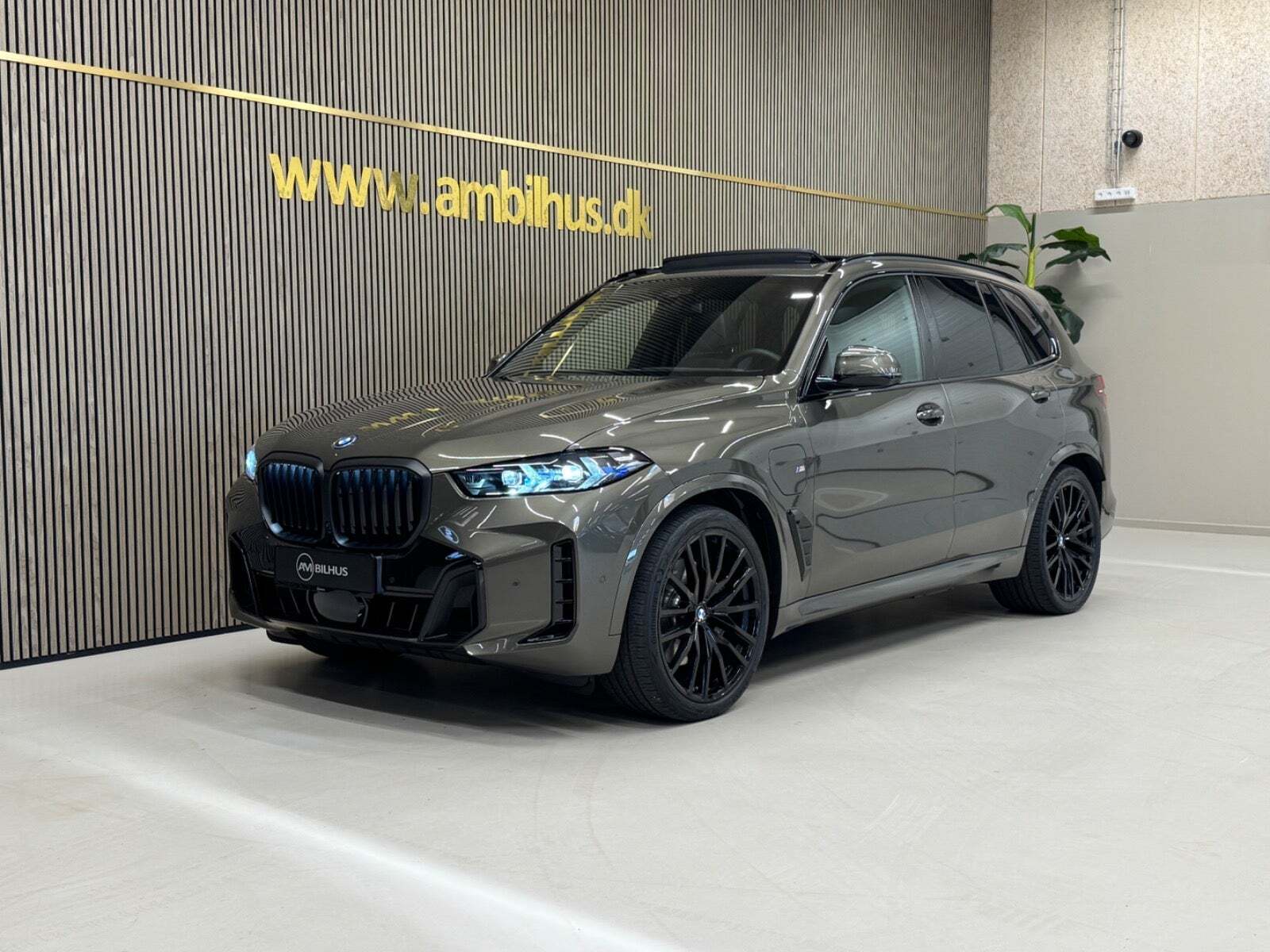BMW X5 3,0 xDrive50e M-Sport+ aut.