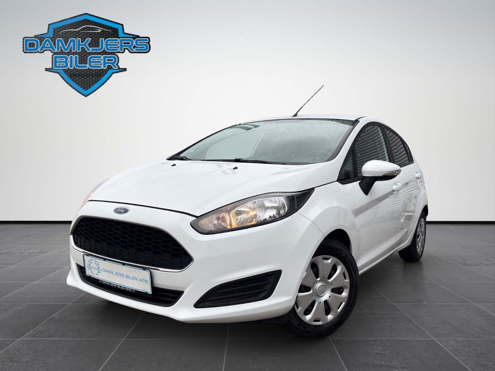 Ford Fiesta 1,5 TDCi 95 Trend ECO Van