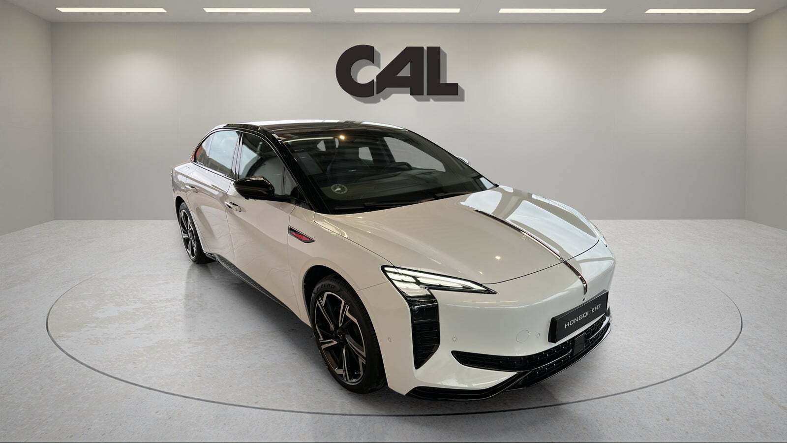 Hongqi EH7 111 Exclusive