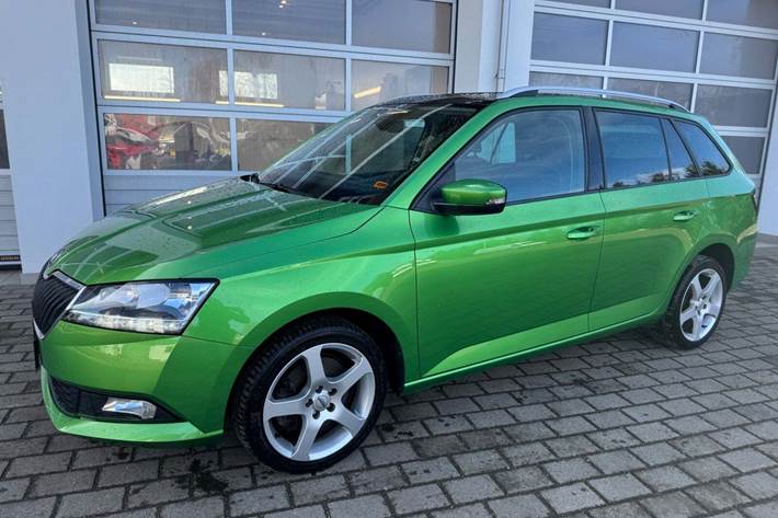 Grøn Skoda Fabia fra 2019