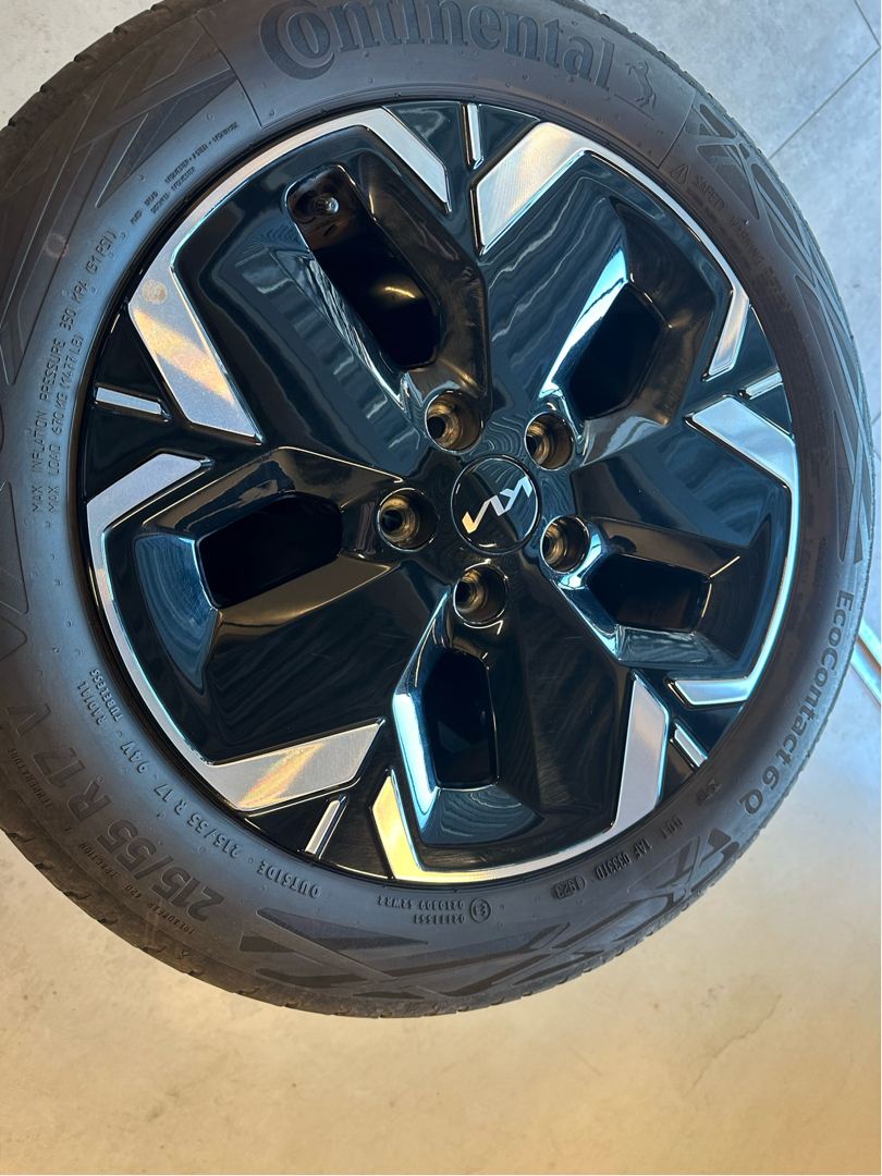 Grå Kia Niro EV fra 2024