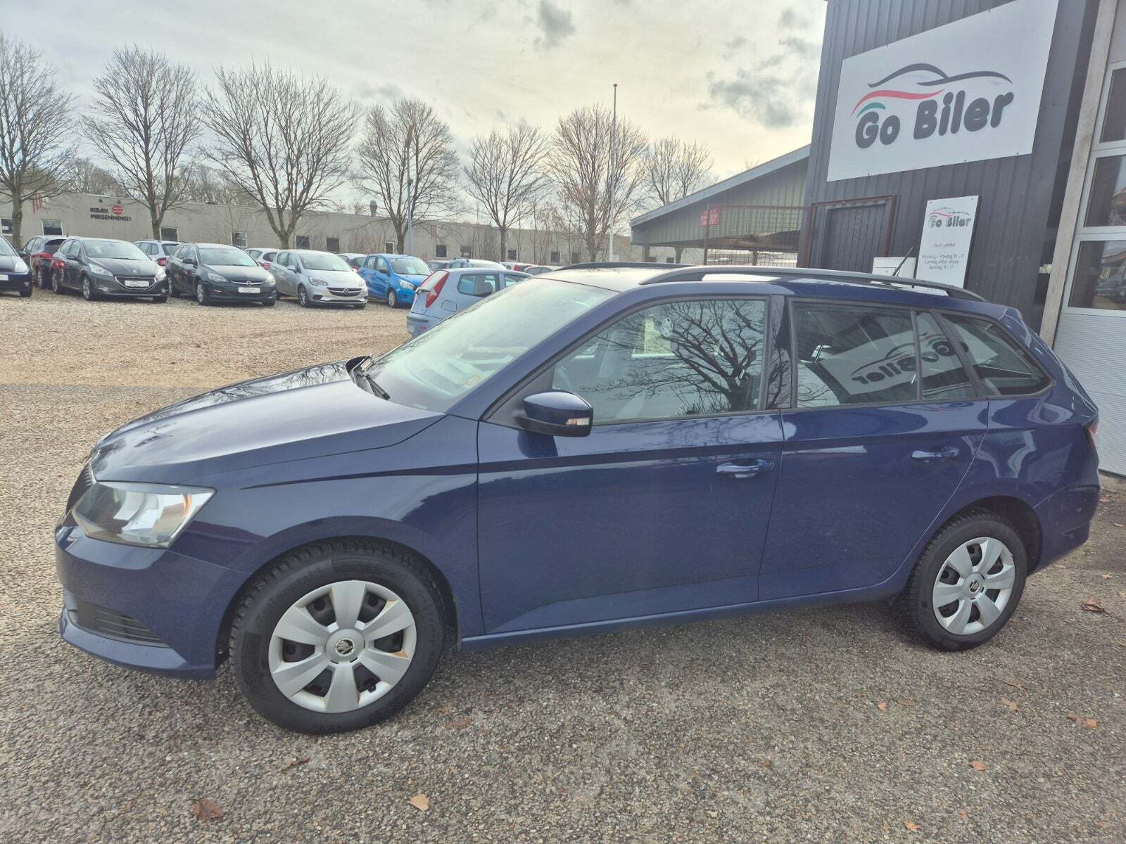 Grøn Skoda Fabia fra 2017