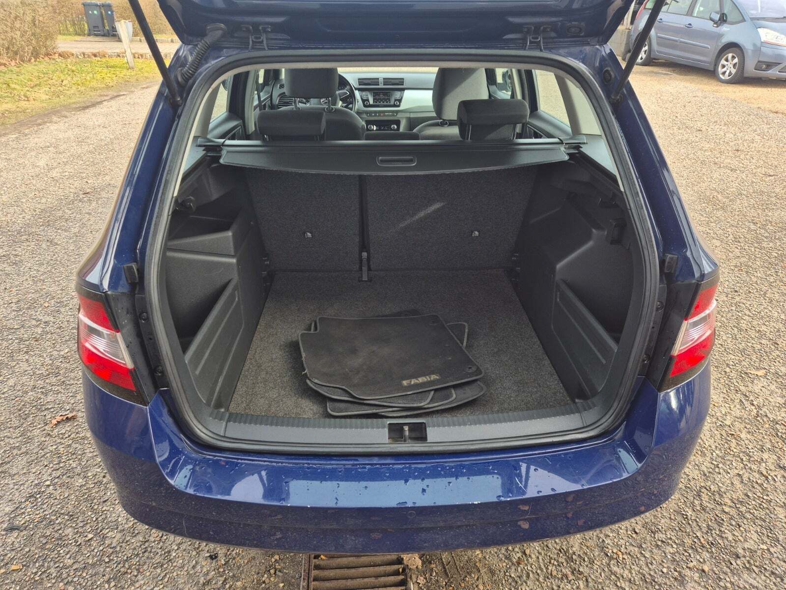 Grøn Skoda Fabia fra 2017