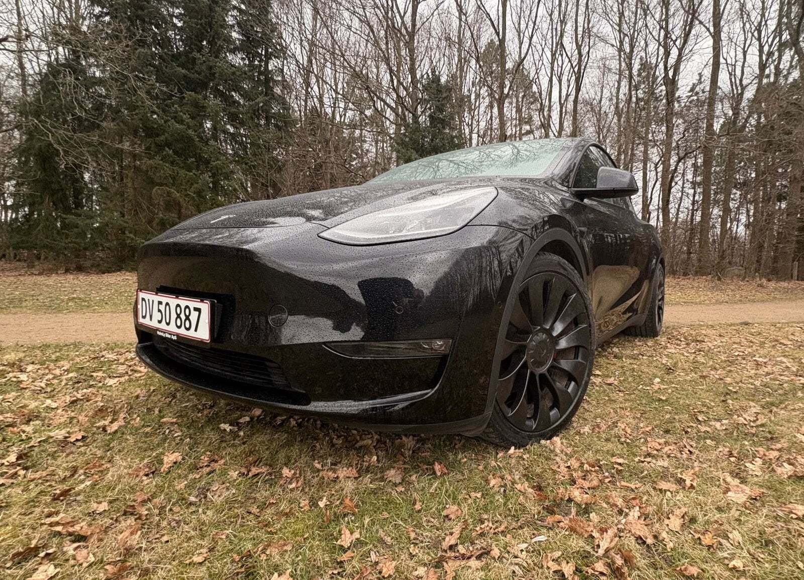 Tesla Model Y Performance AWD