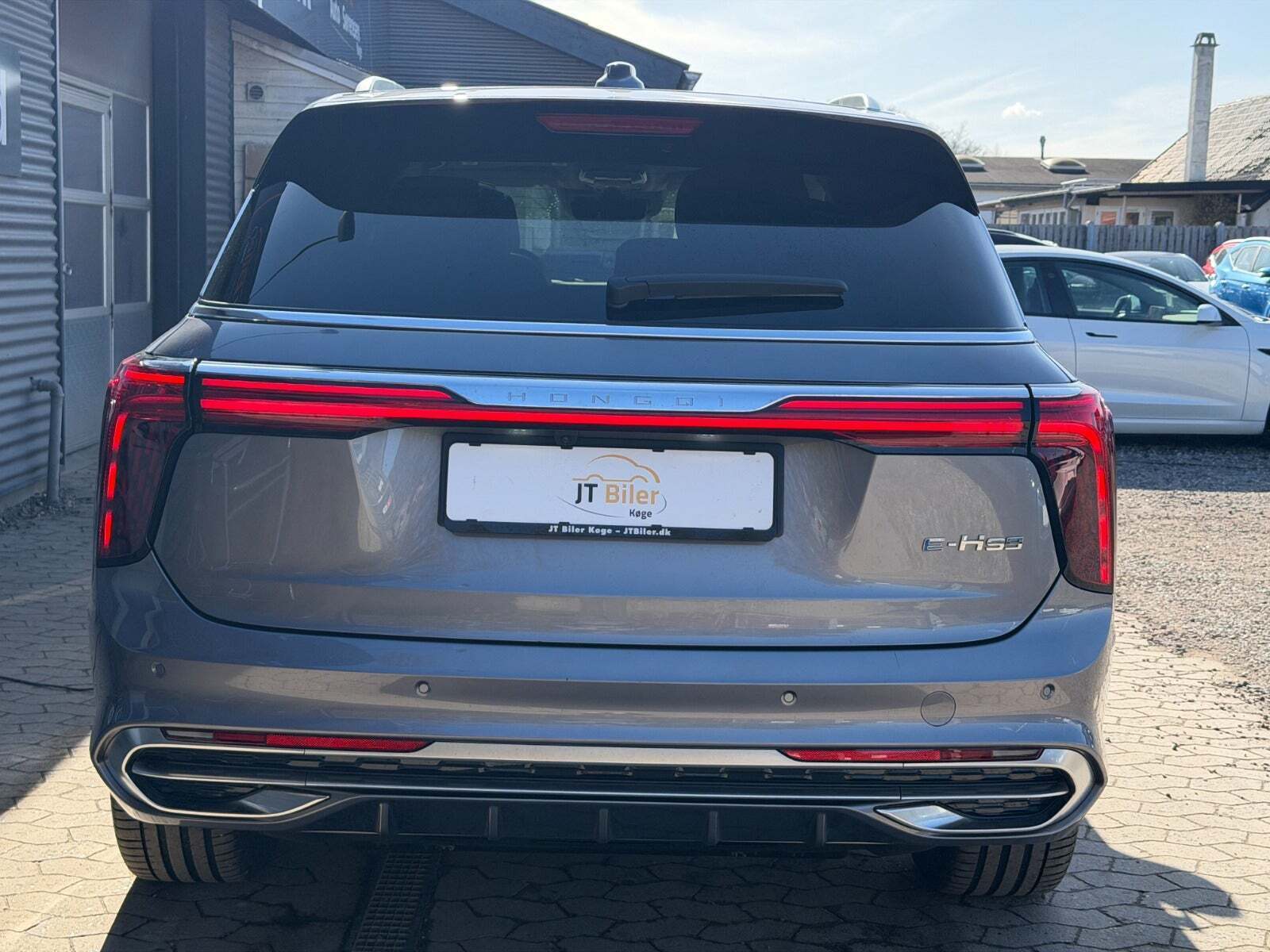 Hongqi E-HS9 99 Exclusive