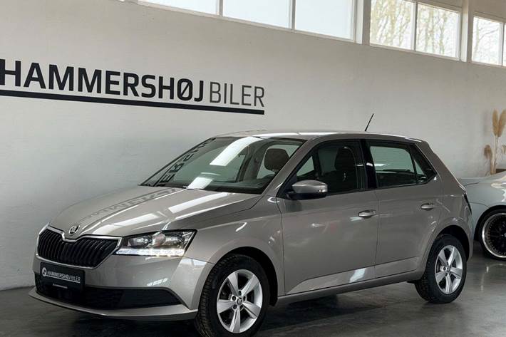 Beige Skoda Fabia fra 2019