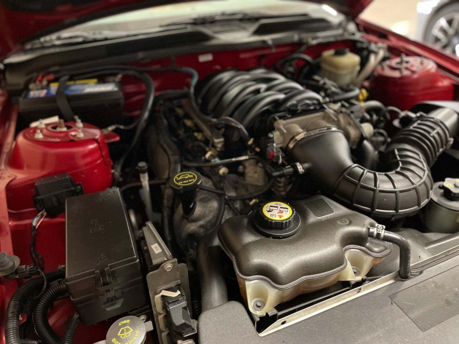 Rød Ford Mustang fra 2008