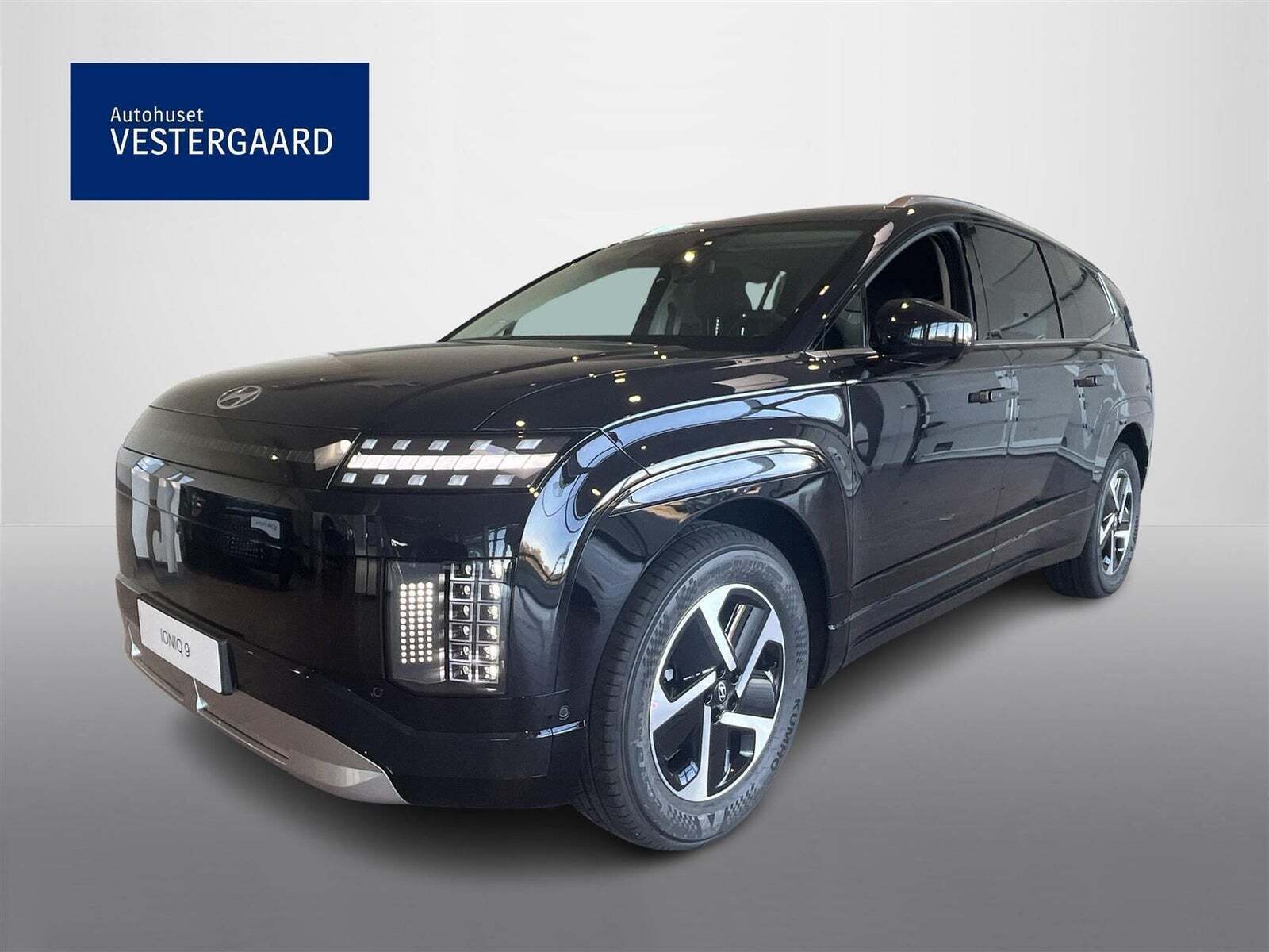 Hyundai Ioniq 9 110 Ultimate 7prs