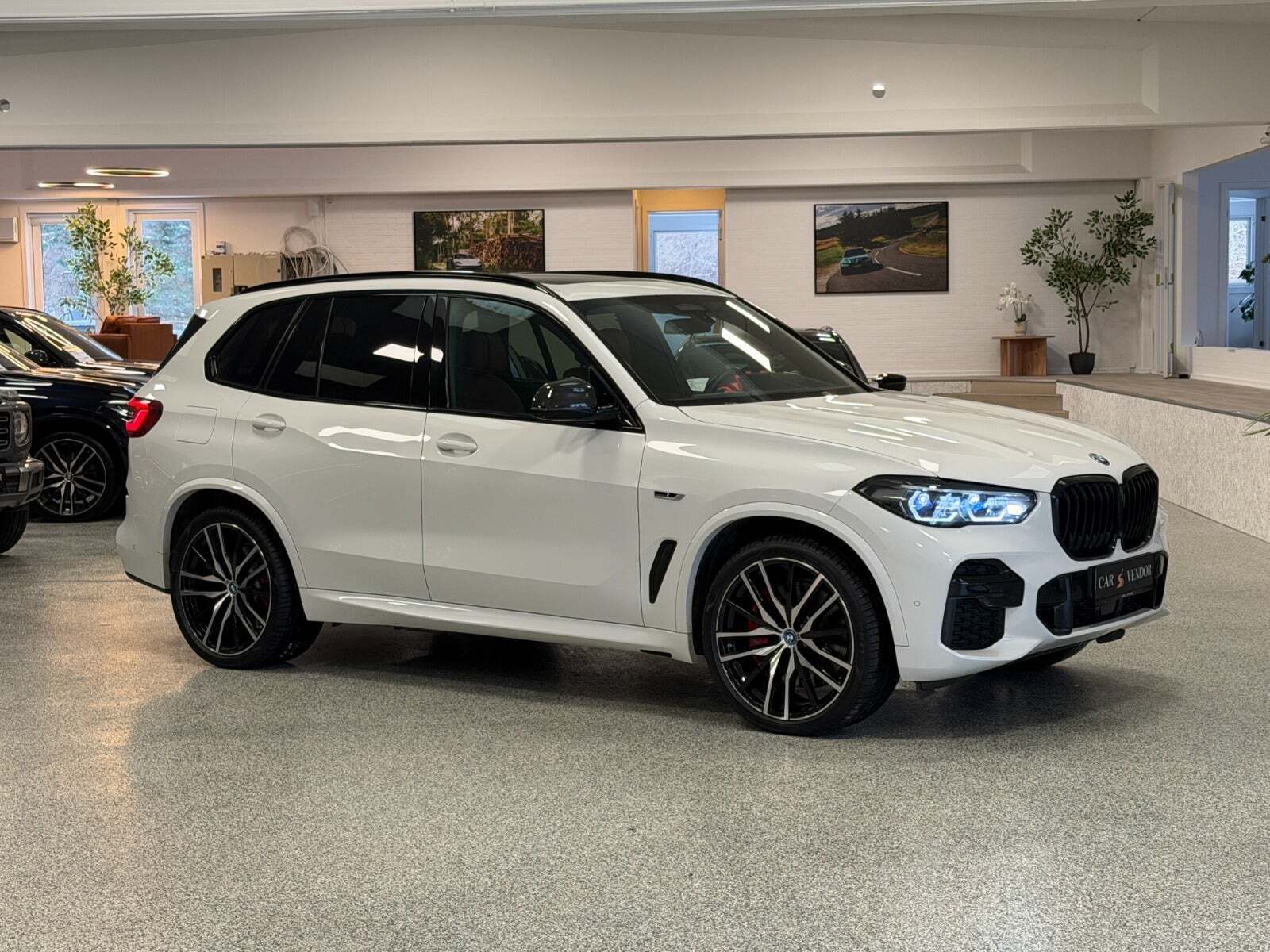 BMW X5 3,0 xDrive45e M-Sport+ aut.