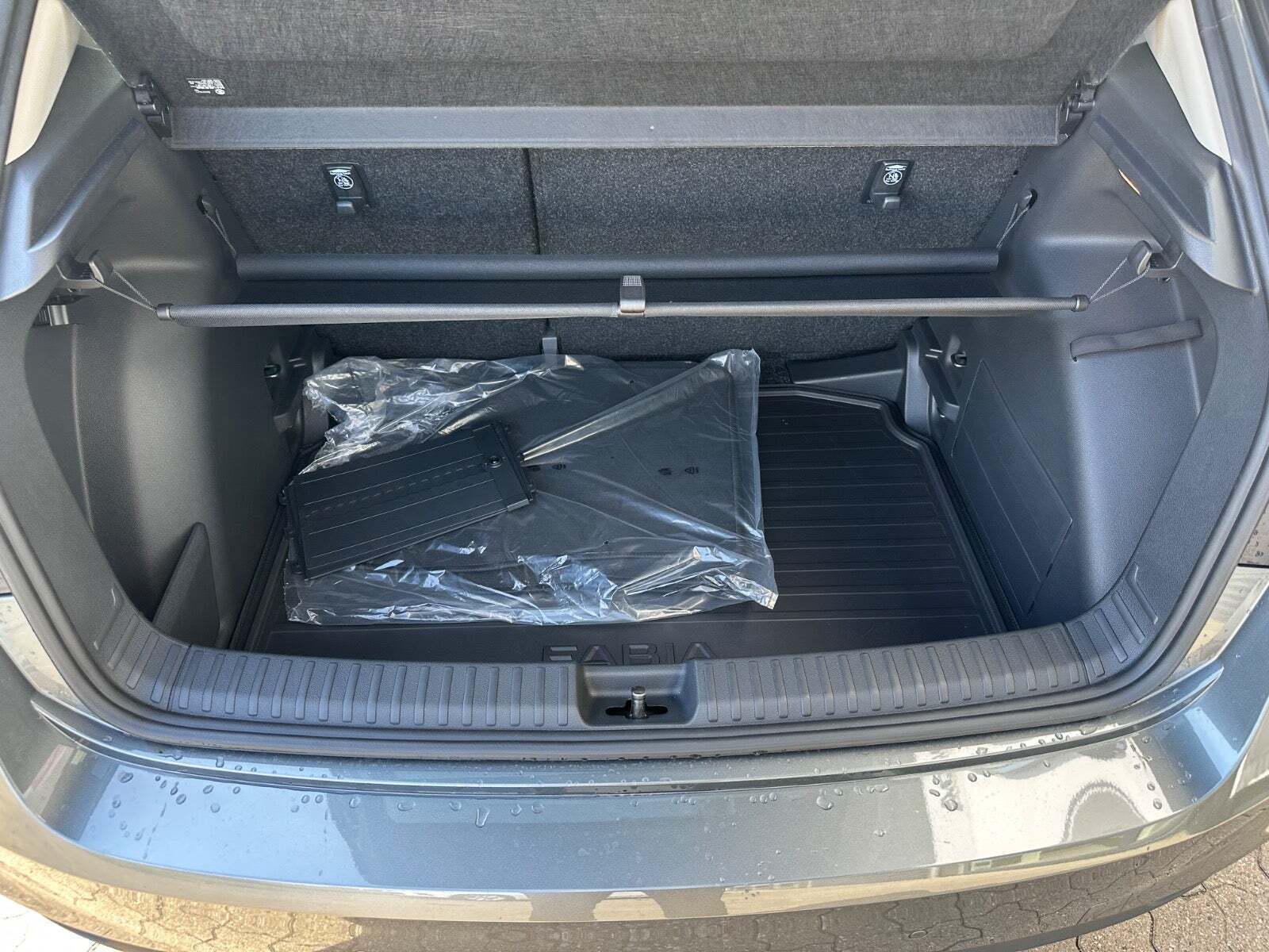 Skoda Fabia 1,0 TSi 115 Selection DSG