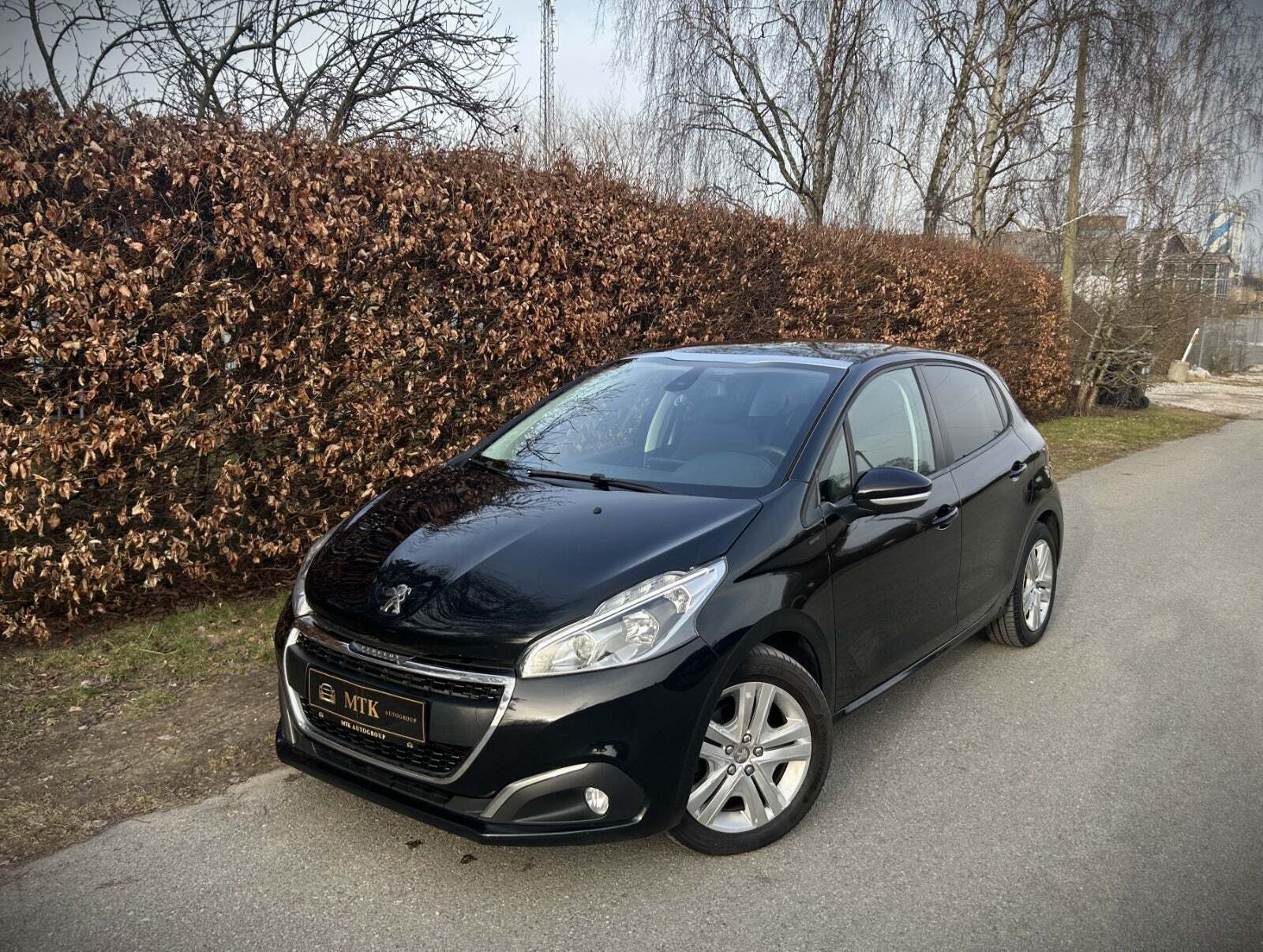 Peugeot 208 1,5 BlueHDi 100 Signature Sky