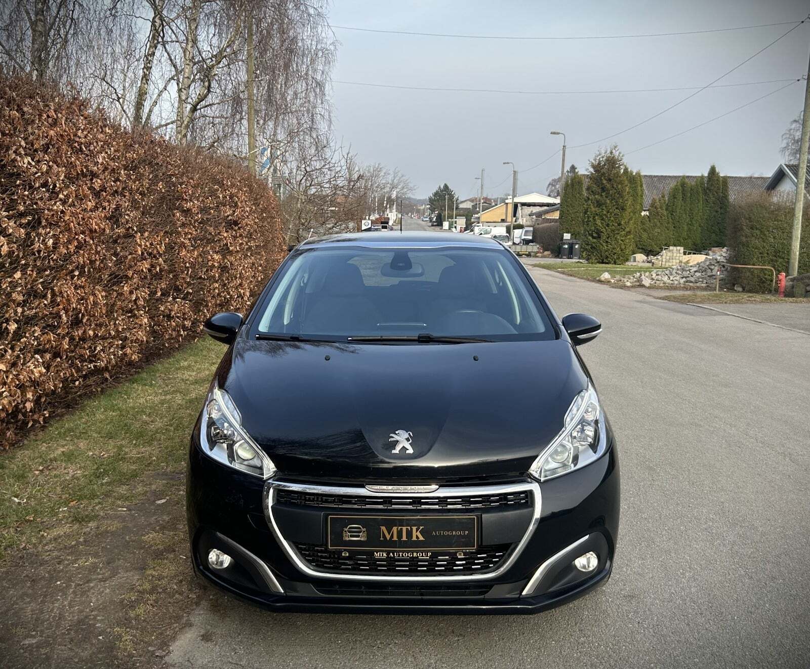 Peugeot 208 1,5 BlueHDi 100 Signature Sky