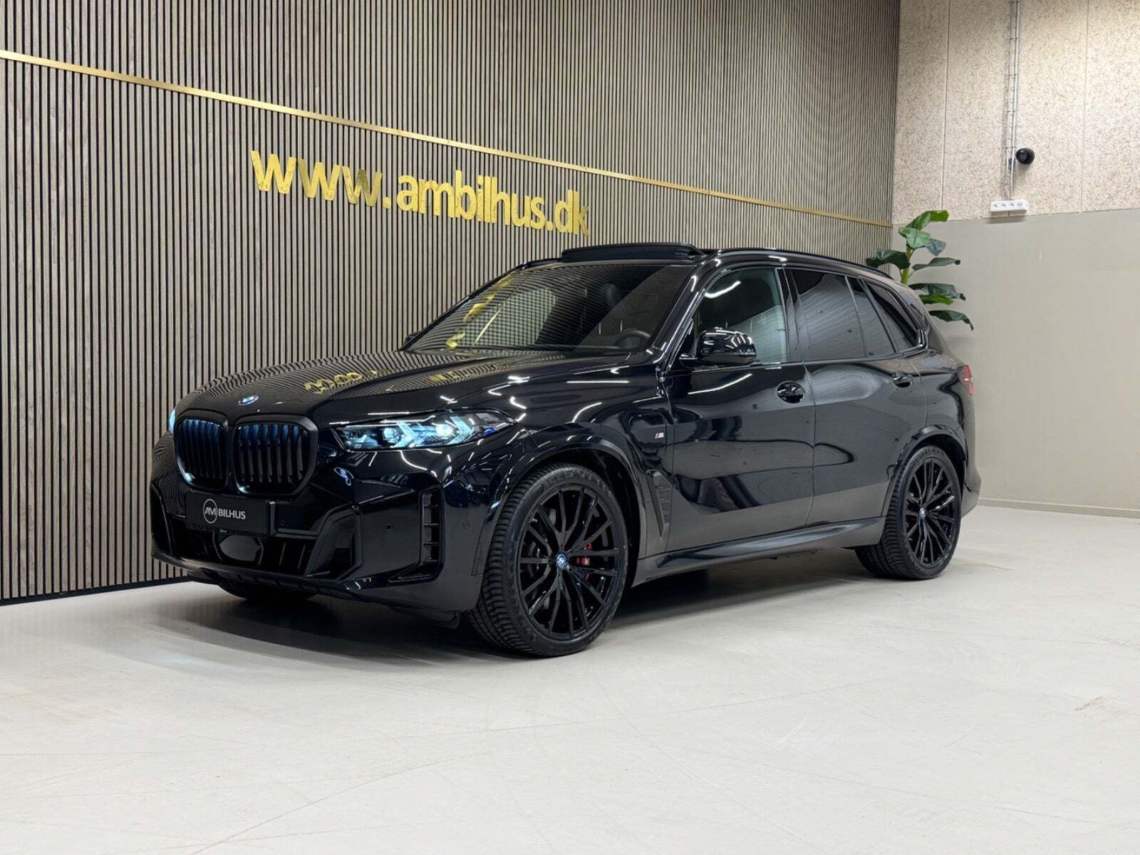 BMW X5 3,0 xDrive50e M-Sport+ aut.