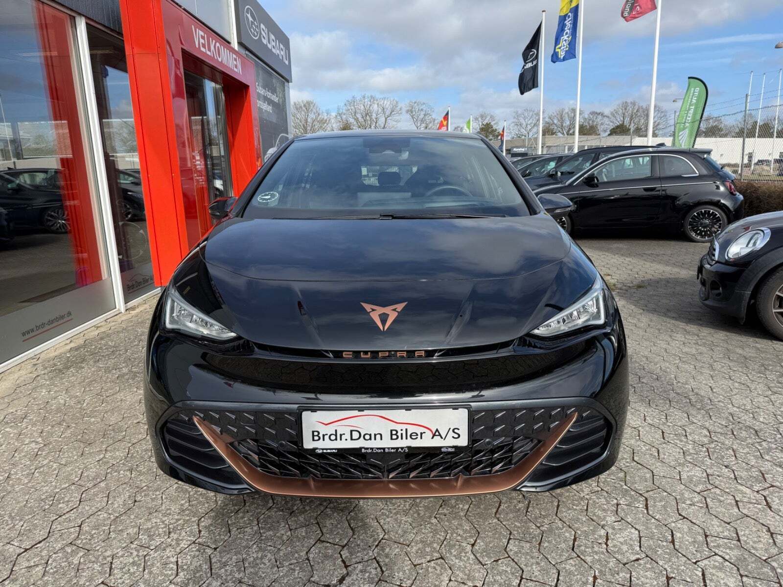 Cupra Born 77 Pasión