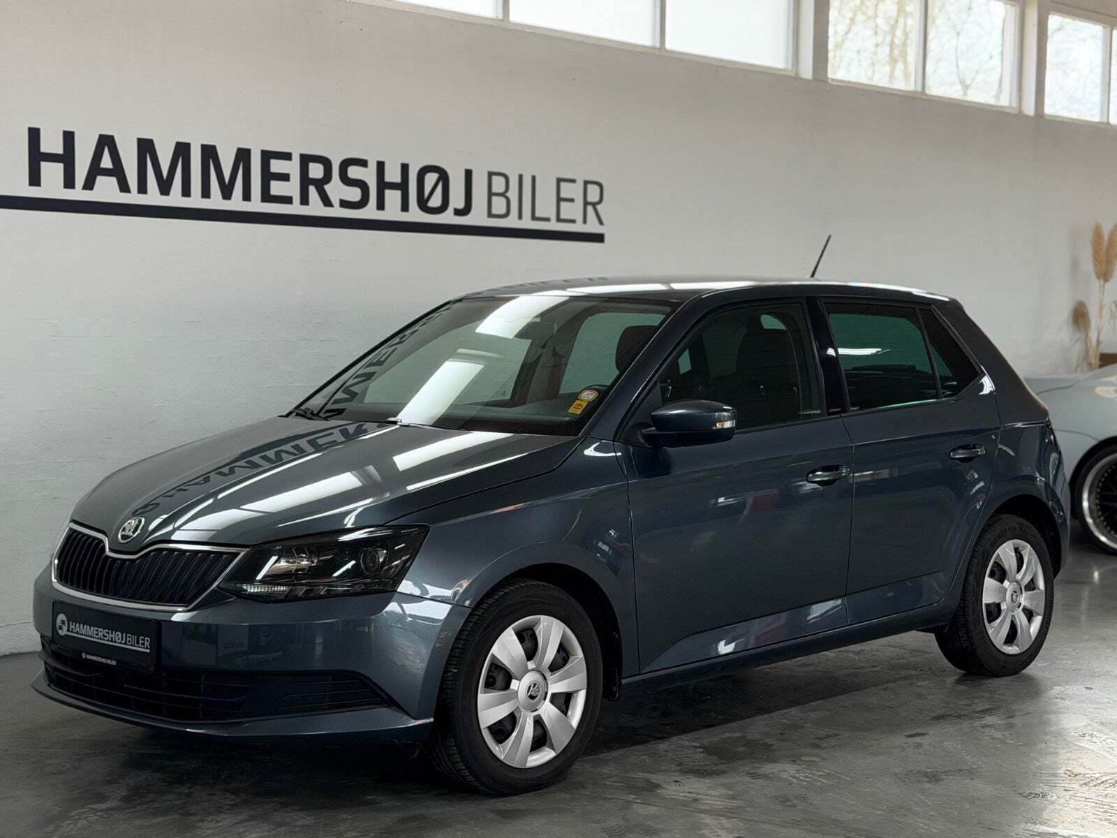 Skoda Fabia 1,0 TSi 95 Tour de France+