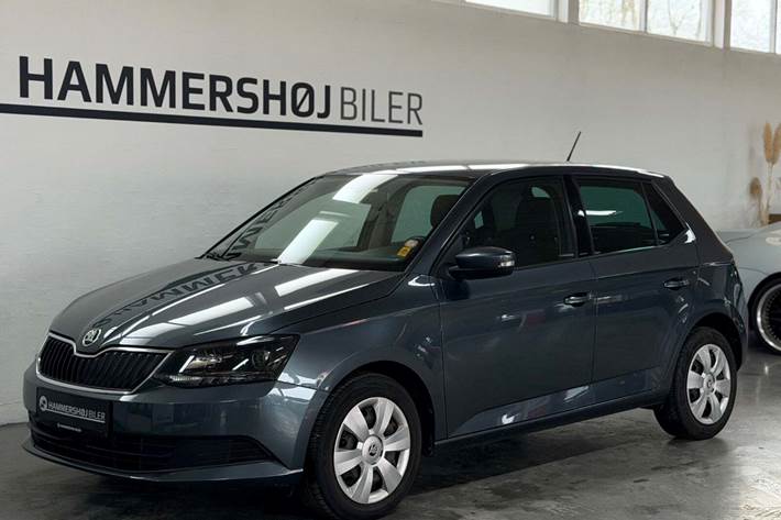 Grå Skoda Fabia fra 2018