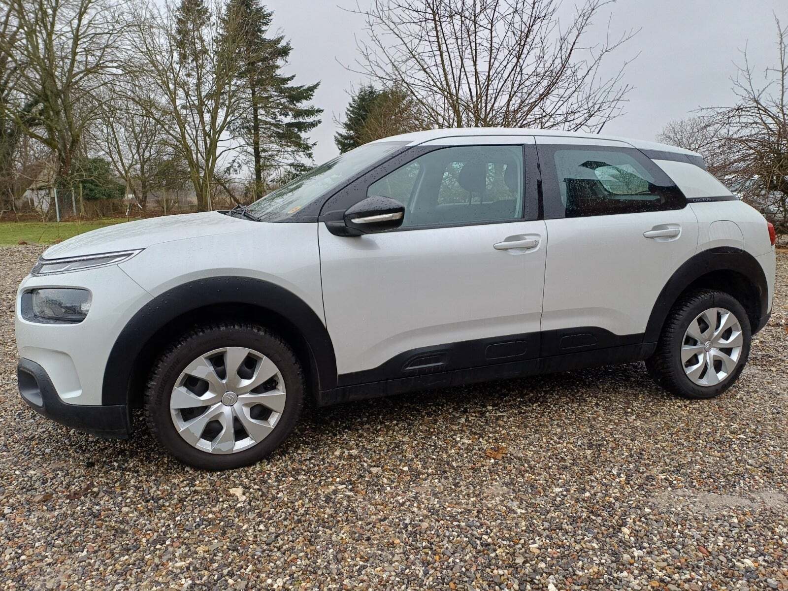 Citroën C4 Cactus 1,5 BlueHDi 100 Platinum Van