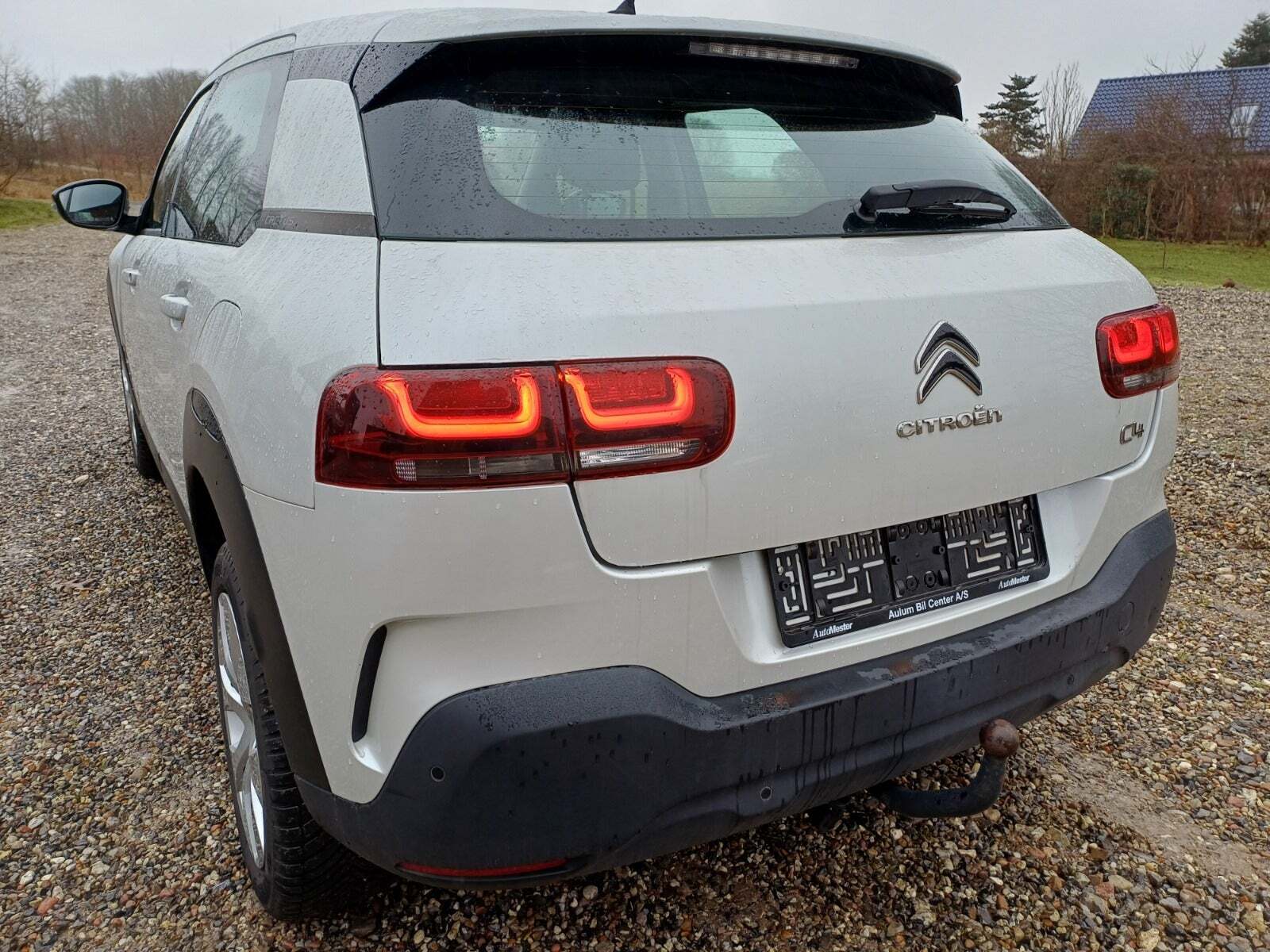 Citroën C4 Cactus 1,5 BlueHDi 100 Platinum Van