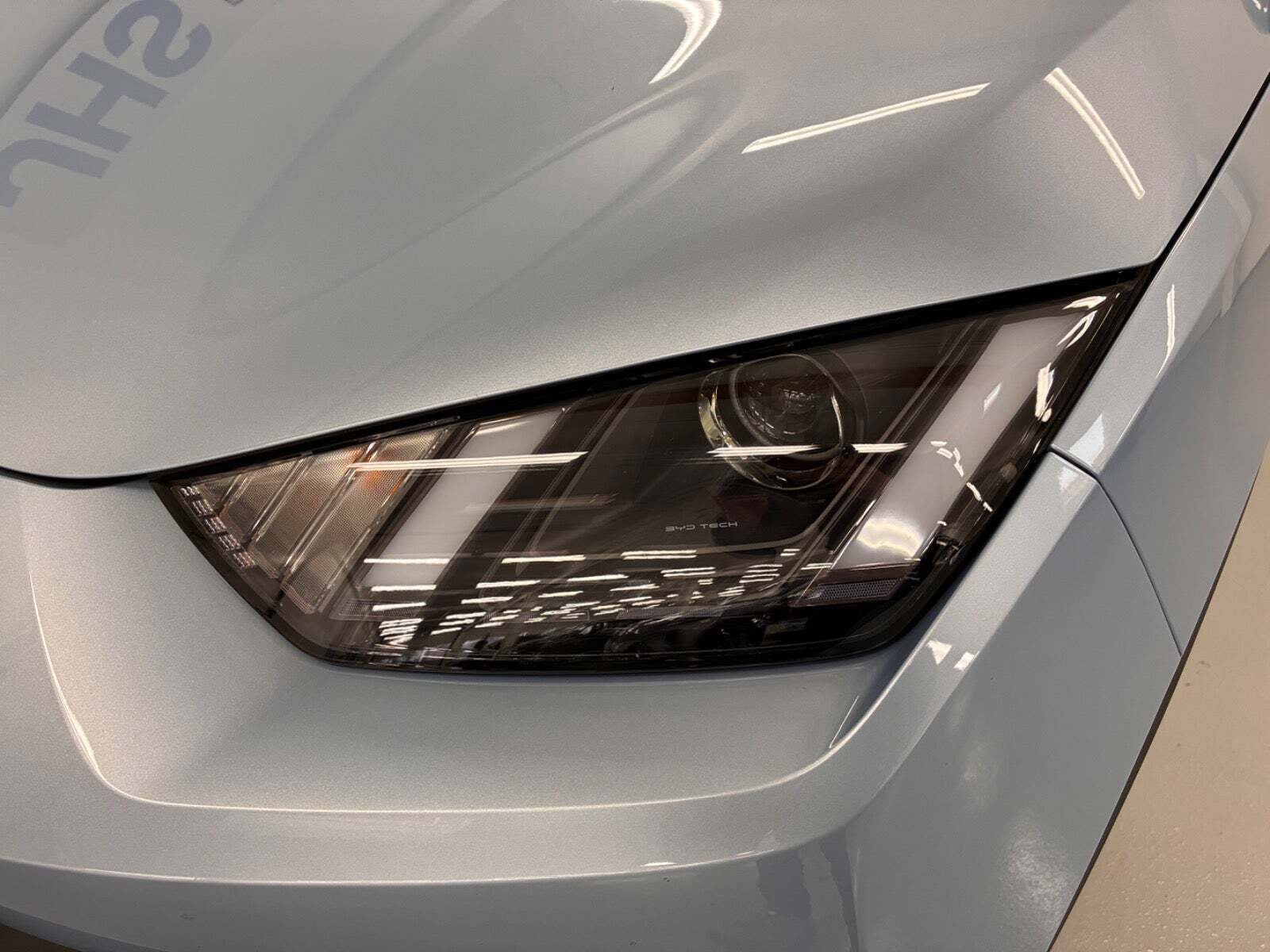 Blå BYD Dolphin Surf fra 2025