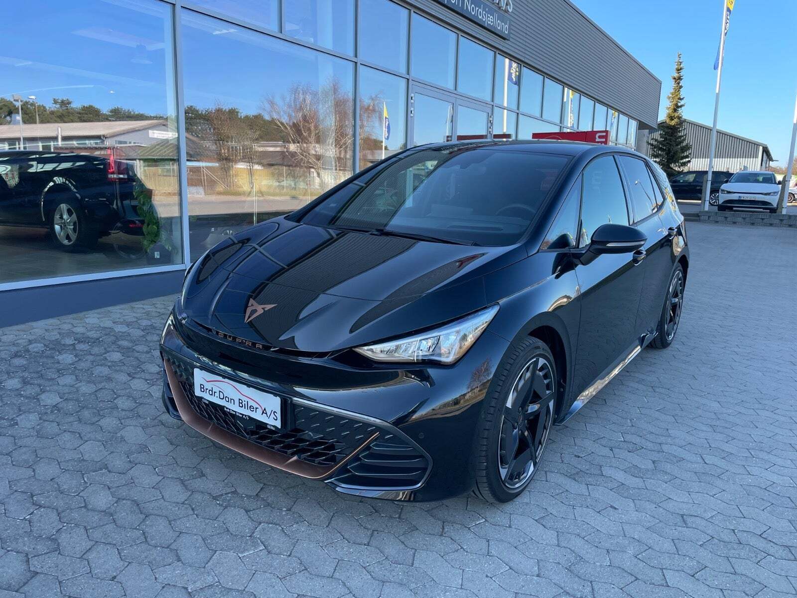 Cupra Born 77 Pasión