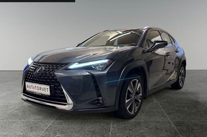 Grå Lexus UX300e fra 2021 set udefra