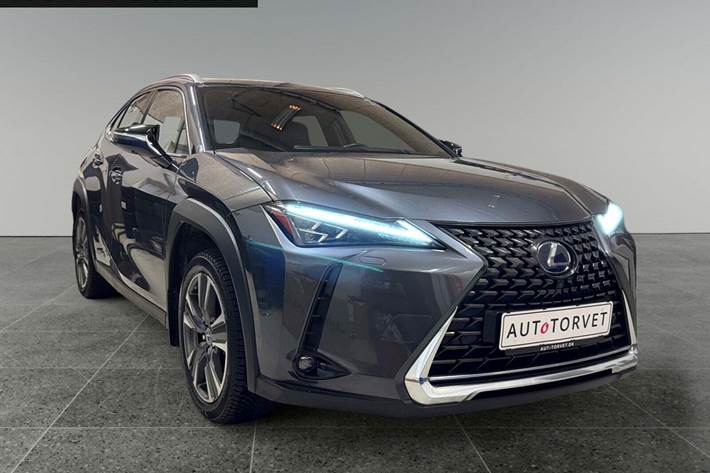 Grå Lexus UX300e fra 2021