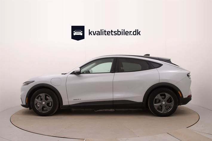 Hvid Ford Mustang Mach-E fra 2021