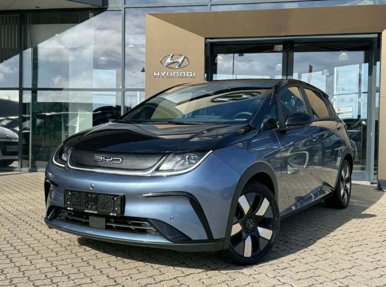 BYD Dolphin 60 Design