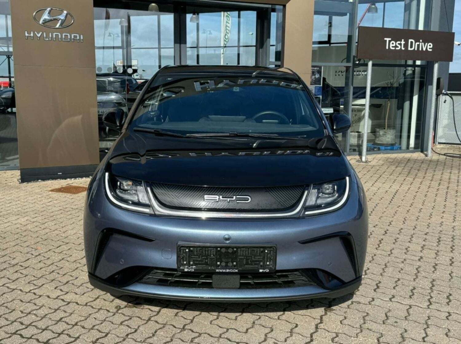 BYD Dolphin 60 Design