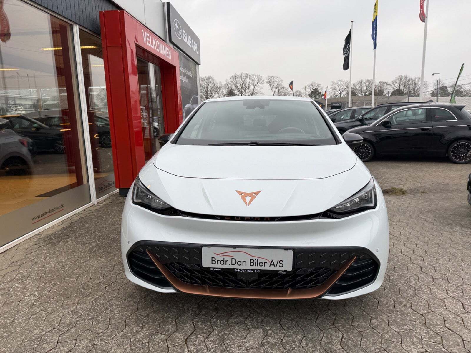 Cupra Born 77 Pasión