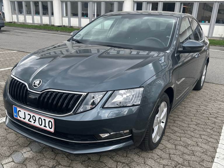 Skoda Octavia 2,0 TSi 190 Style DSG