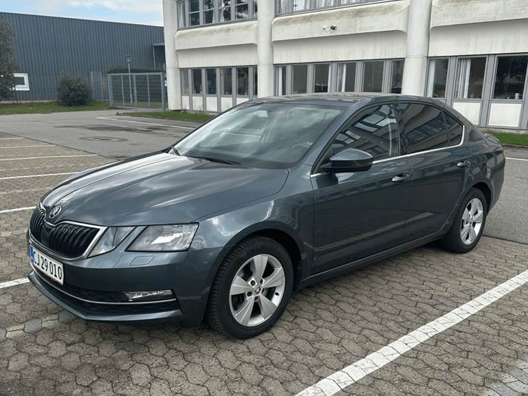 Skoda Octavia 2,0 TSi 190 Style DSG