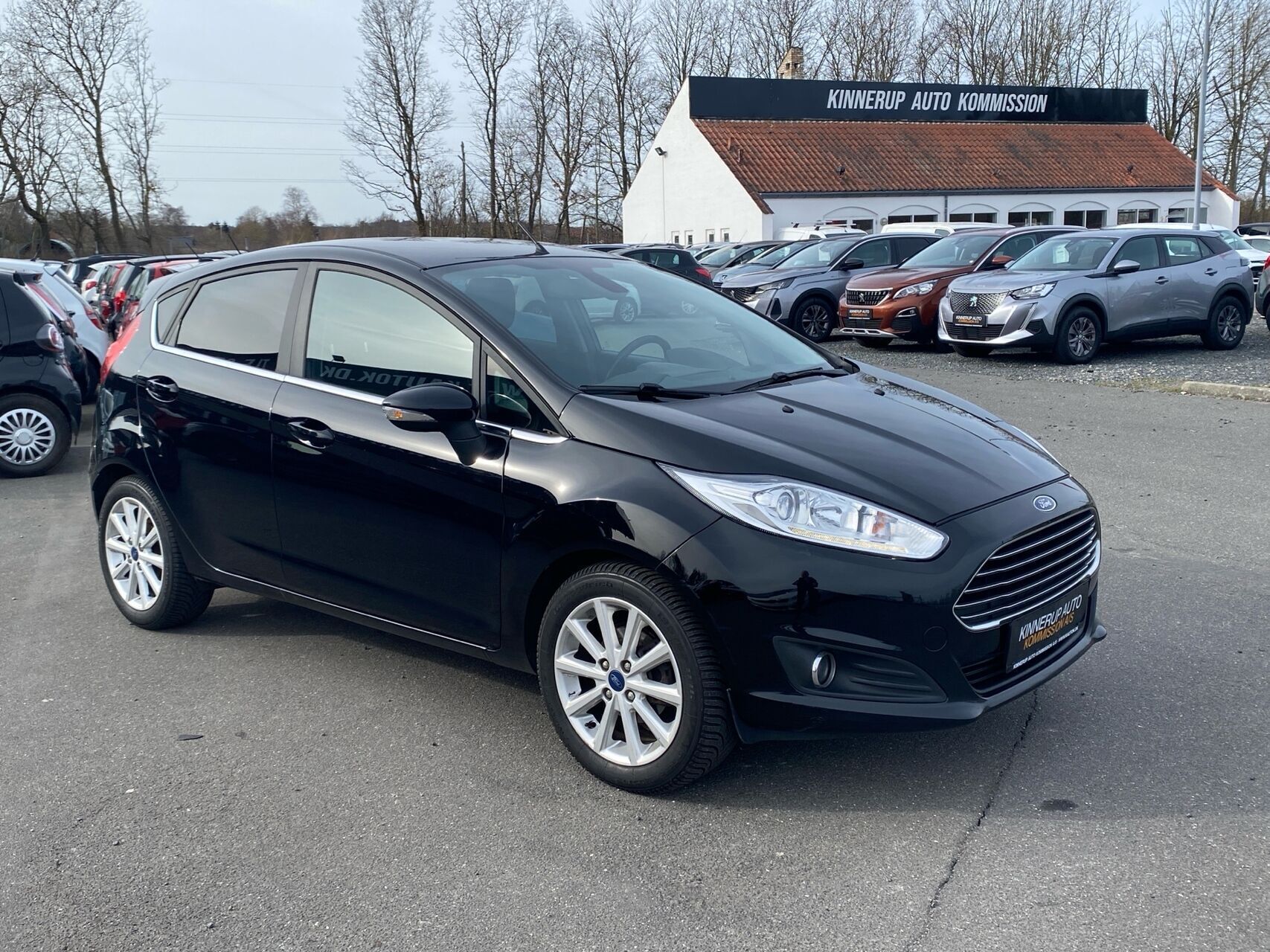 Ford Fiesta 1,0 EcoBoost Titanium Fun Start/Stop 100HK 5d