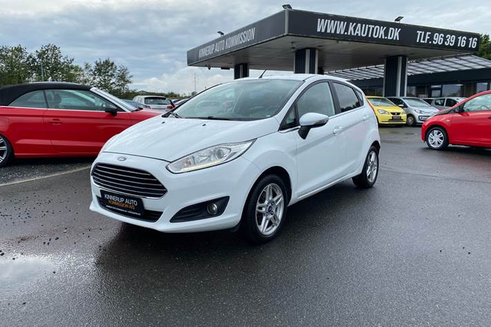 Hvid Ford Fiesta fra 2013