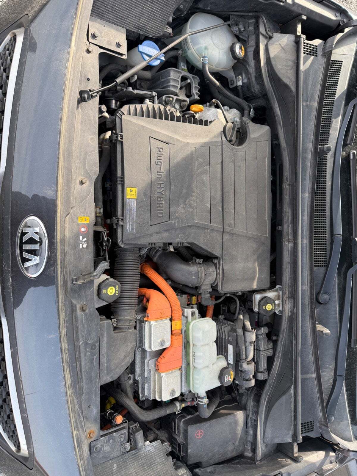 undefined Kia Niro fra 2019