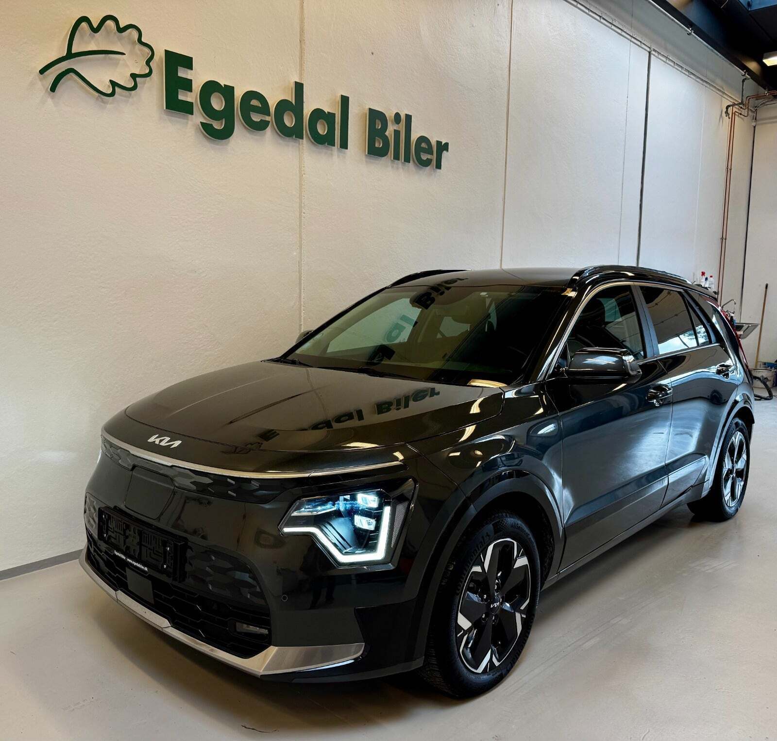 Kia Niro 64 EV Premium