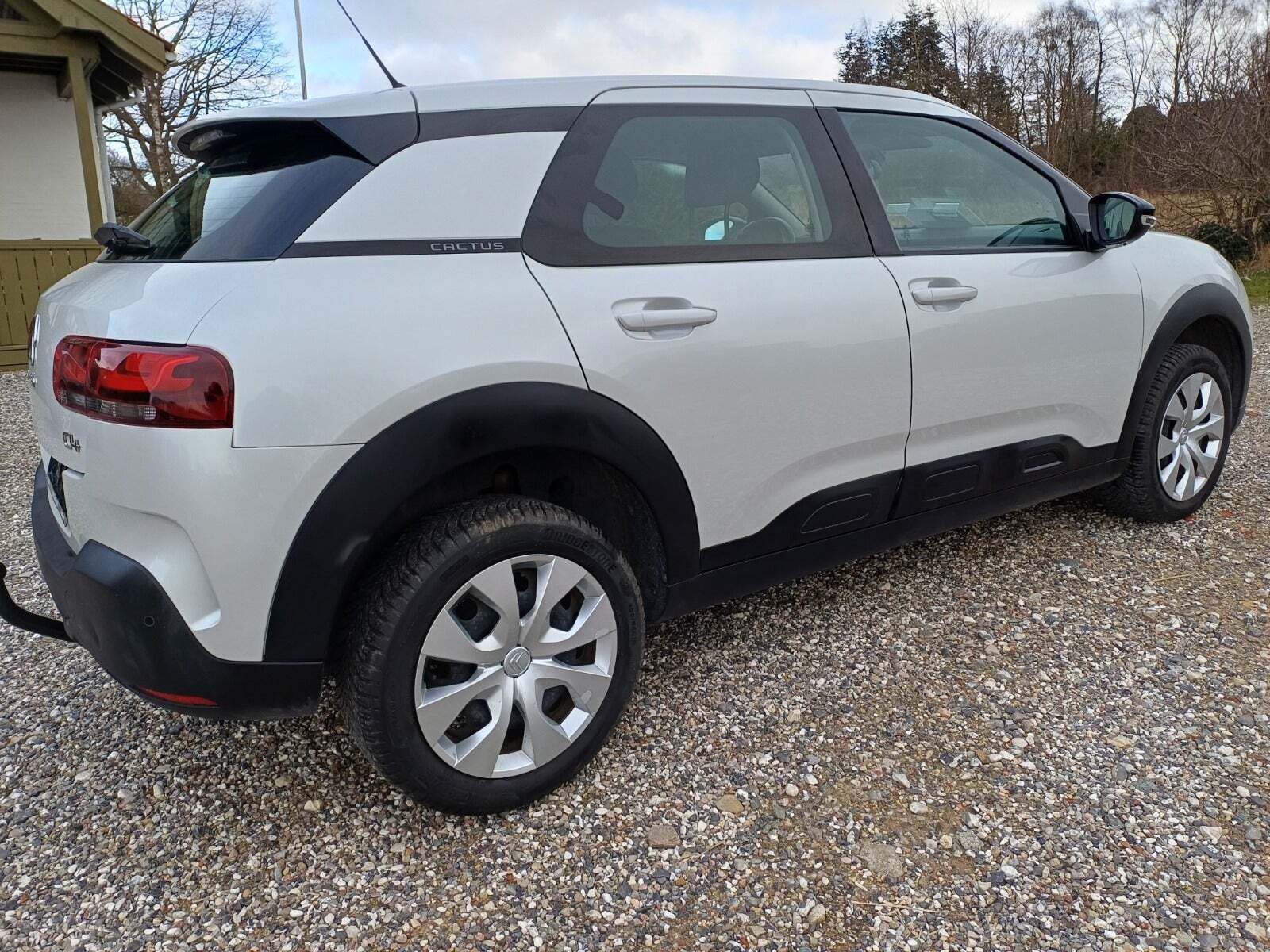 Citroën C4 Cactus 1,5 BlueHDi 100 Platinum Van