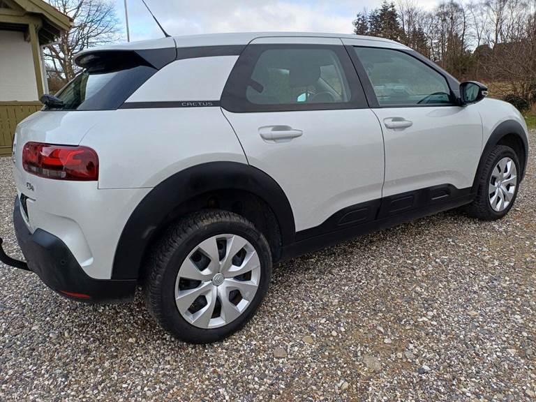 Citroën C4 Cactus 1,5 BlueHDi 100 Platinum Van