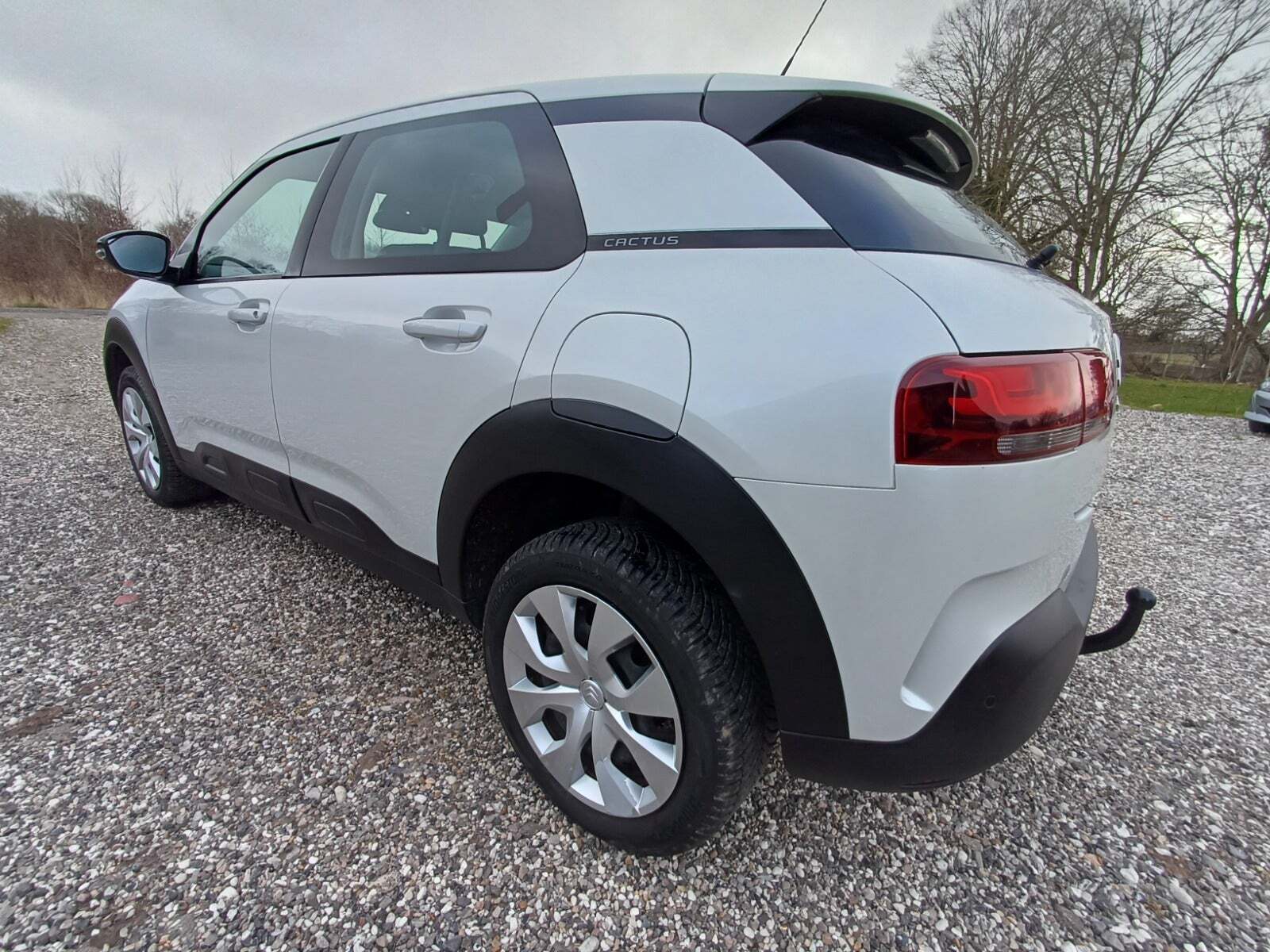 Citroën C4 Cactus 1,5 BlueHDi 100 Platinum Van