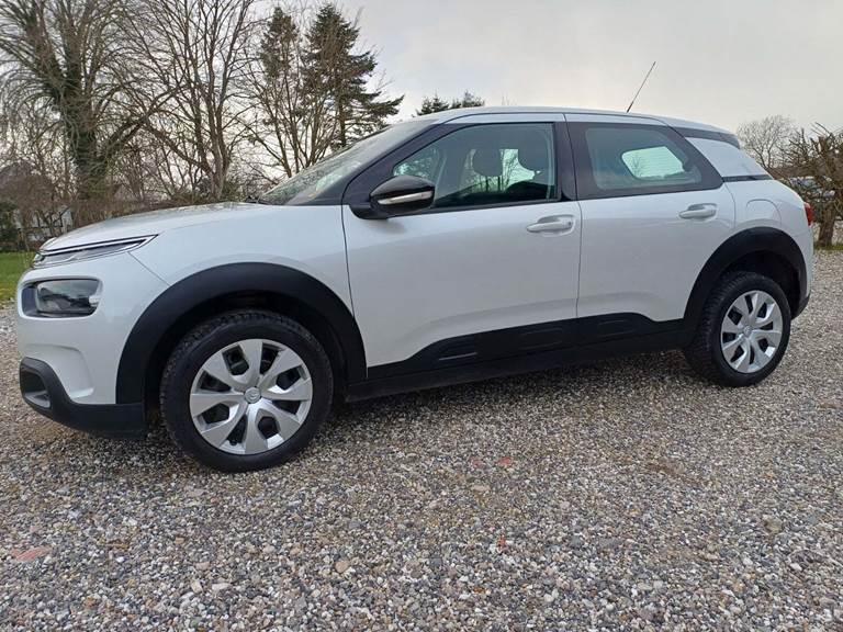 Citroën C4 Cactus 1,5 BlueHDi 100 Platinum Van