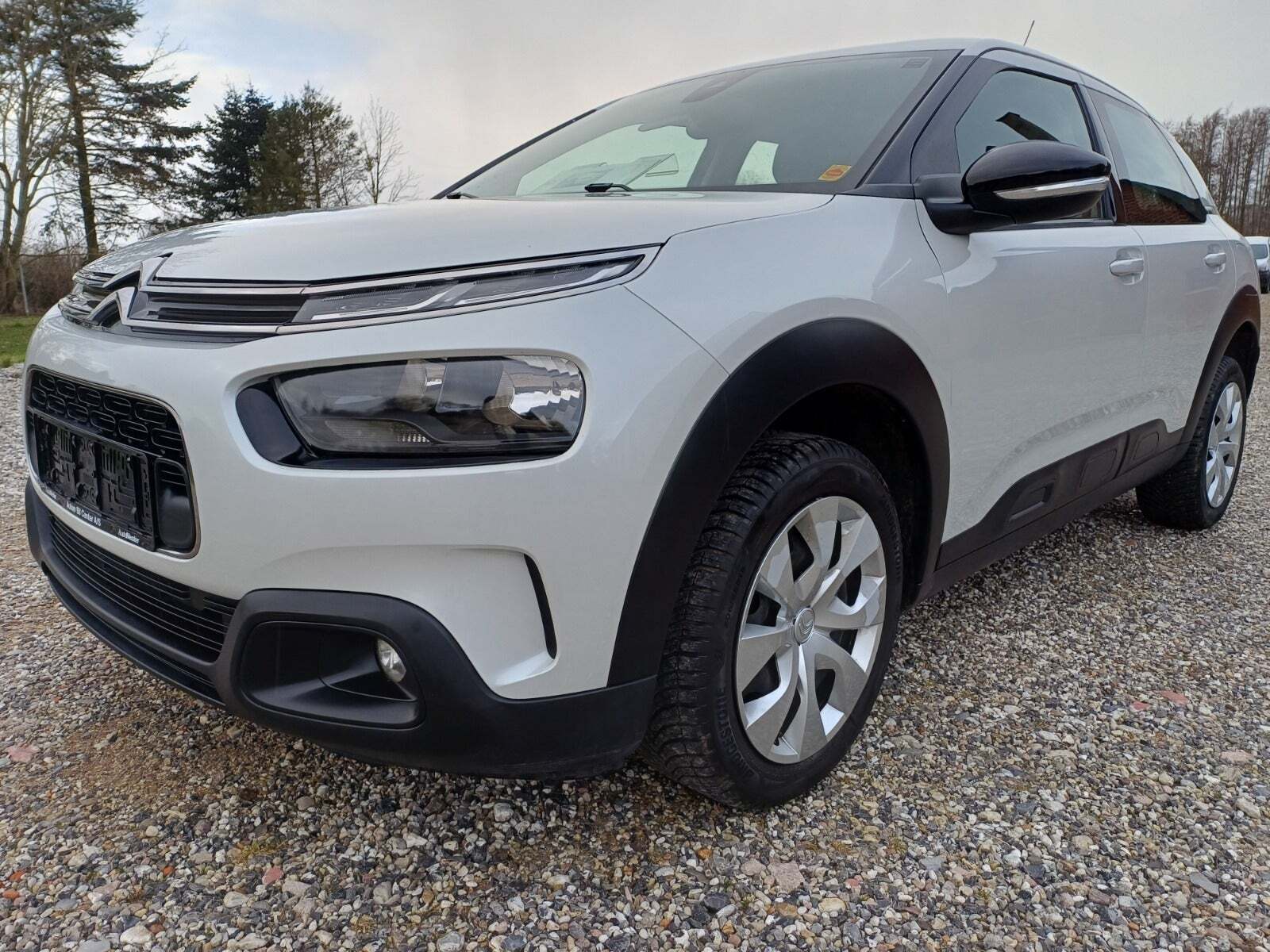 Citroën C4 Cactus 1,5 BlueHDi 100 Platinum Van