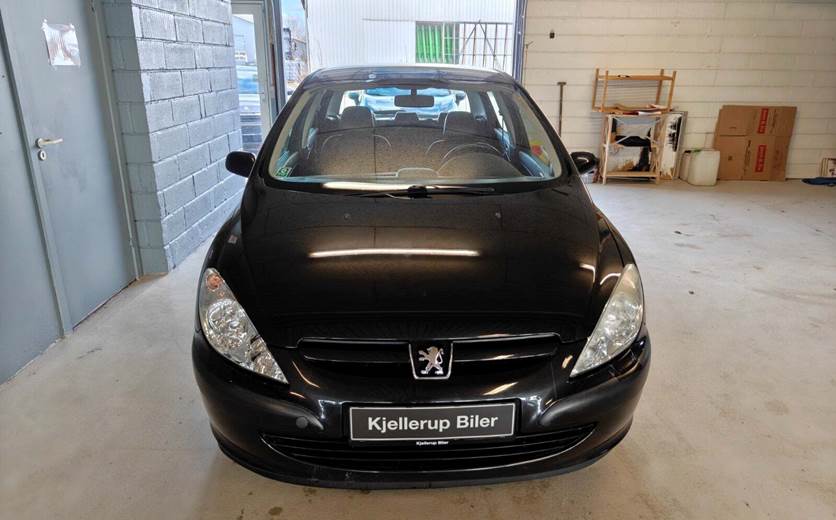 Peugeot 307 2,0 XS