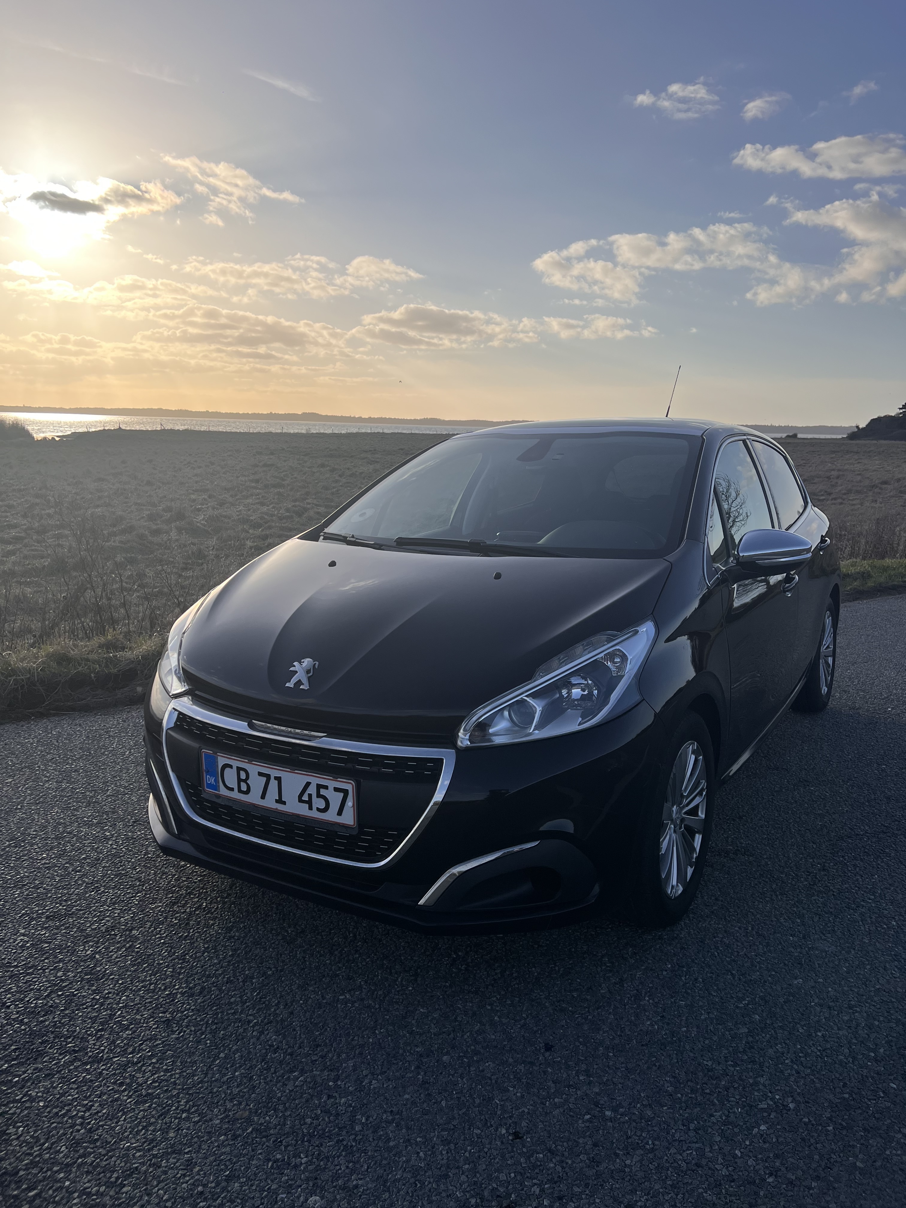 Peugeot 208 1,6 BlueHDI 100 hk 5D