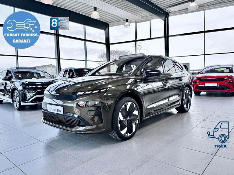100Autotjek biler