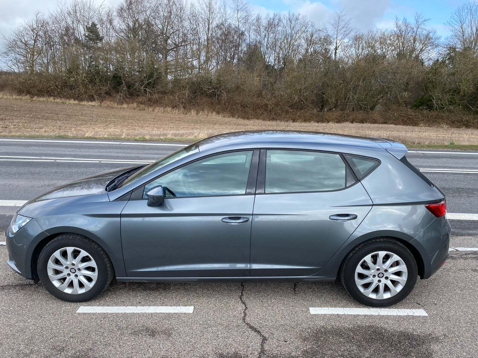 Grå Seat Leon fra 2017