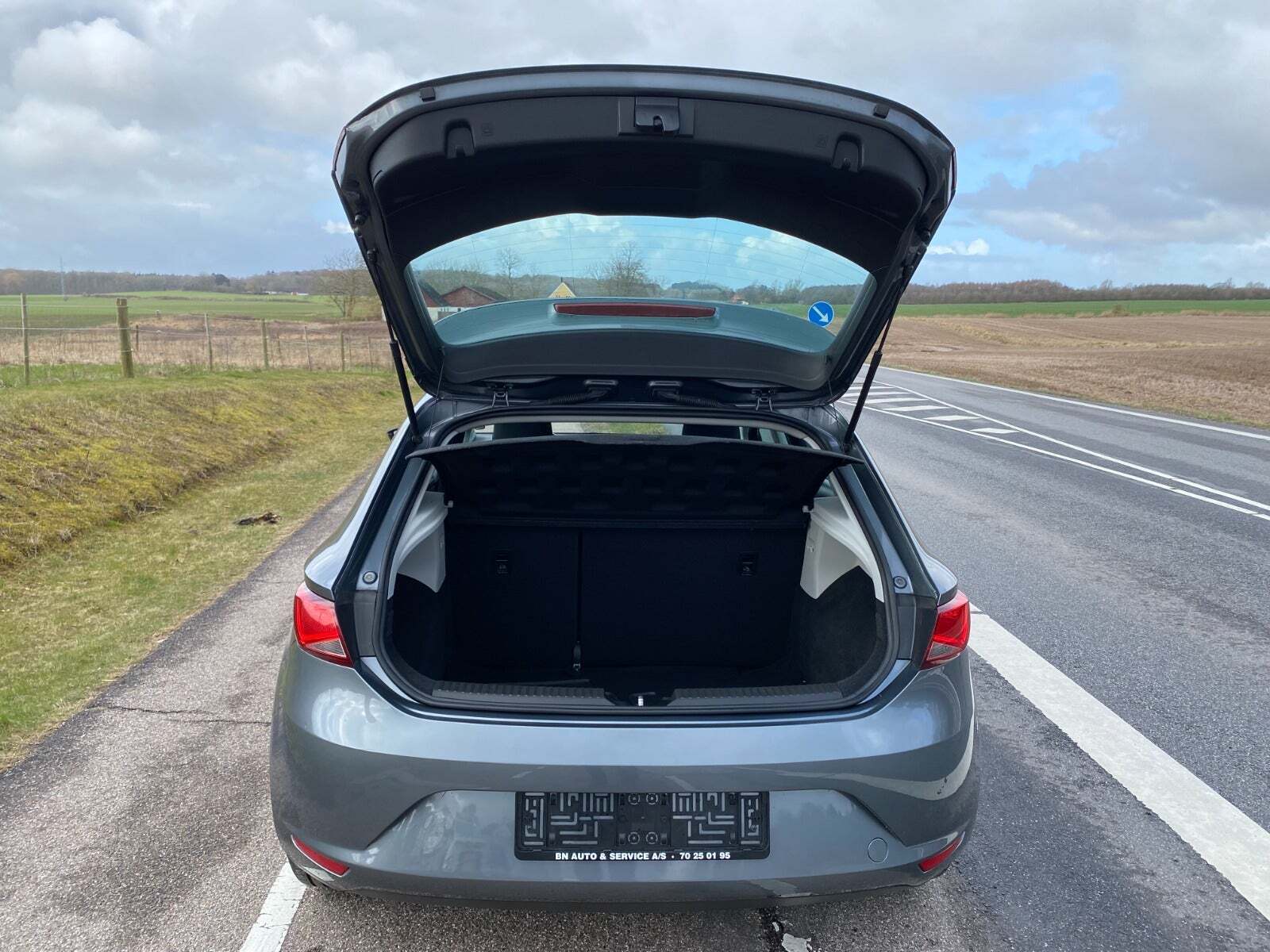 Grå Seat Leon fra 2017