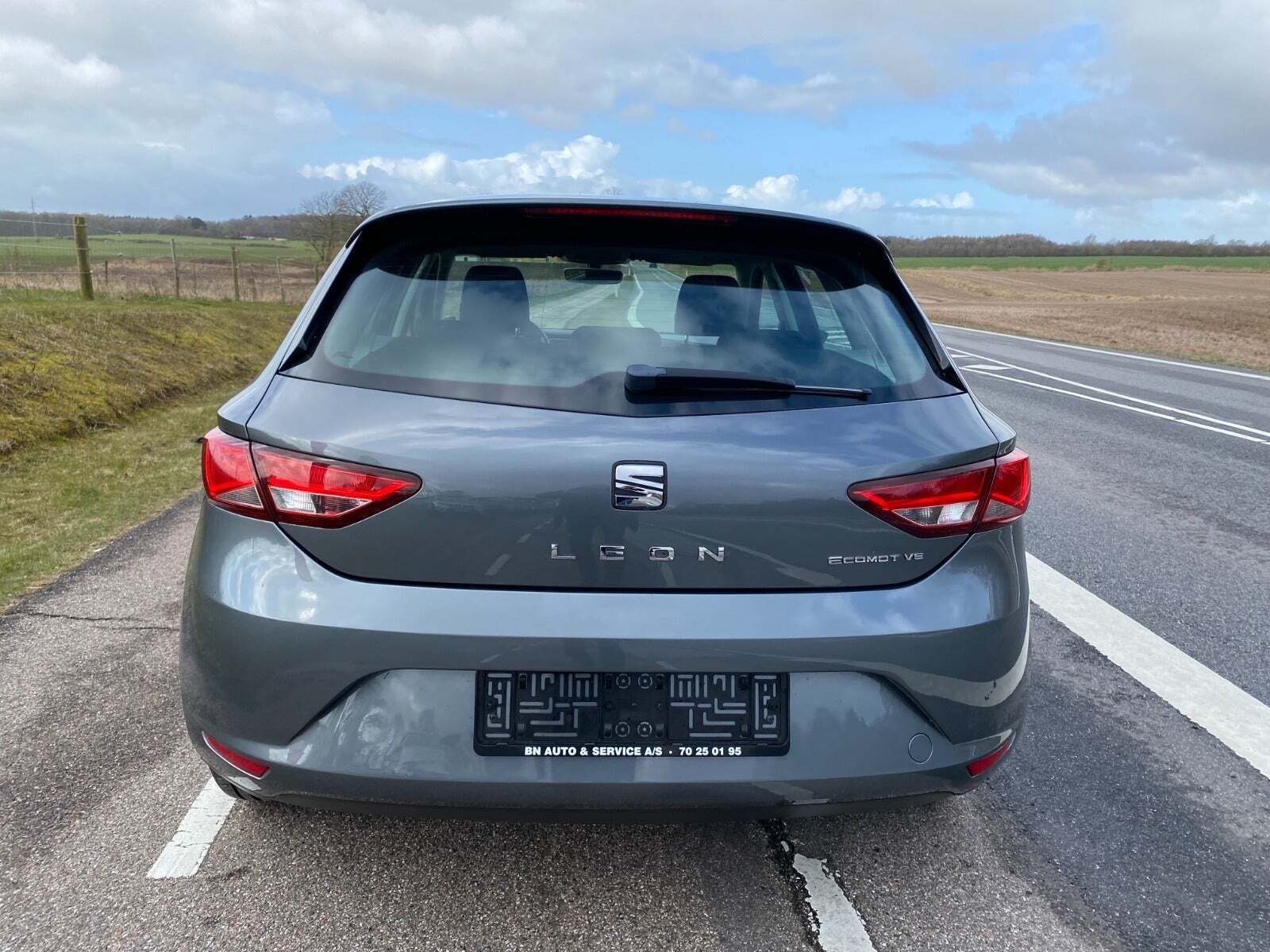 Grå Seat Leon fra 2017